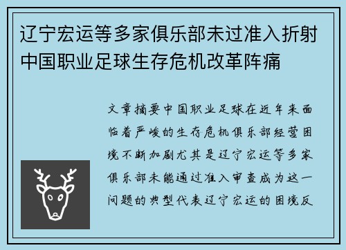 辽宁宏运等多家俱乐部未过准入折射中国职业足球生存危机改革阵痛